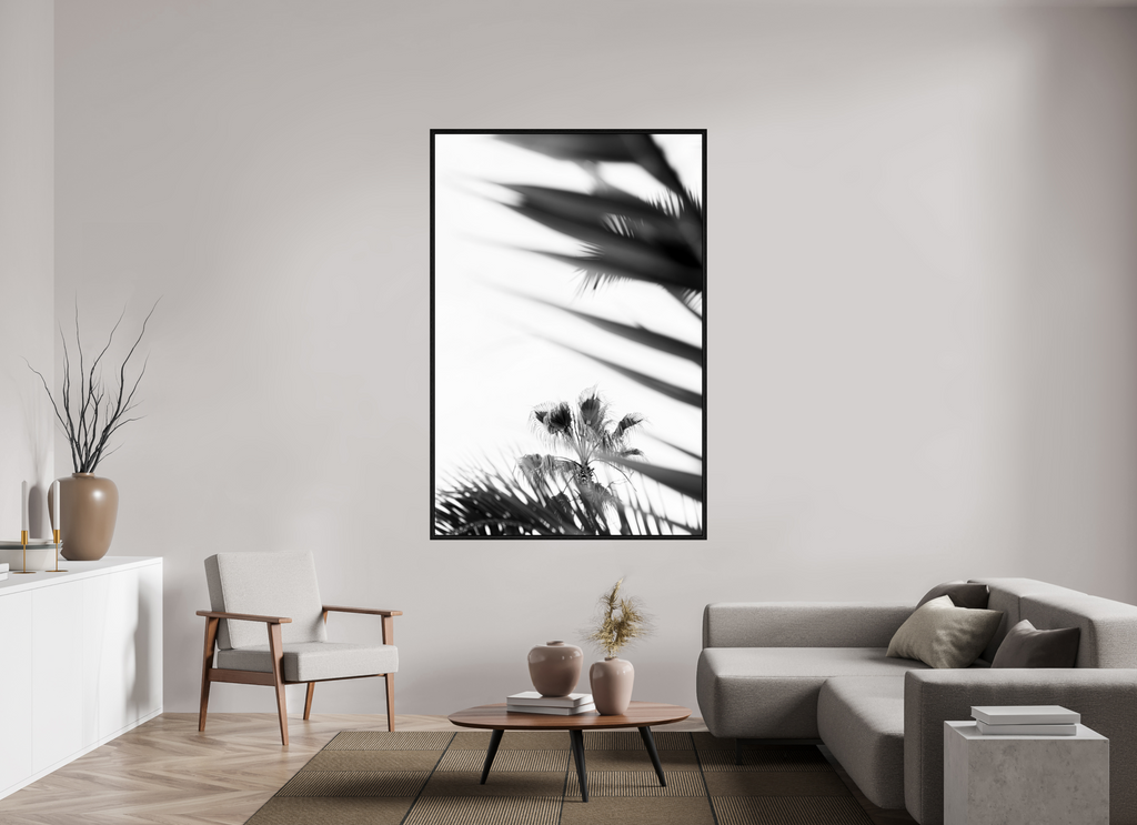 palms, balearic islands
