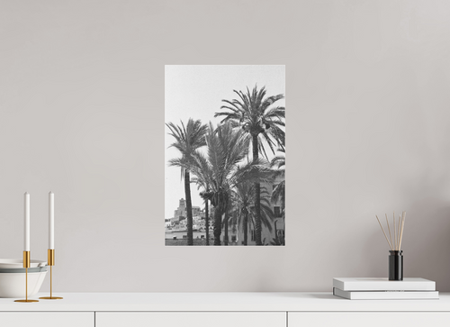 ibiza palms on old film